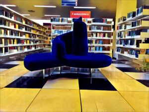 Biblioteche come infrastrutture per la coesione locale