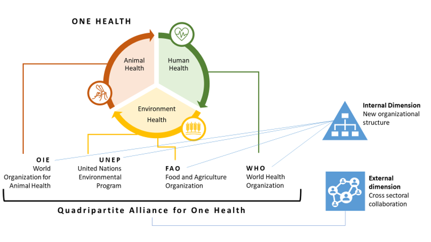 Preparedness and collaboration from a One Health perspective