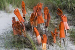 immagine evocativa di guani arancioni su una spiaggia di sabbia, foto di copertina di un articolo di secondo welfare in cui si parla di voto ai sedicenni