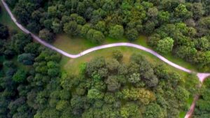 Un'immagine dall'alto del Bosco delle Querce di Seveso e Meda. Immagine di copertina dell'articolo di Percorsi di secondo welfare in cui si propongono tutti gli approfondimenti ospitati dal sito www.secondowelfare.it sul progetto "Insieme per il Bosco"