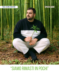 Campagna Koinè Specie Rare Panda educatore